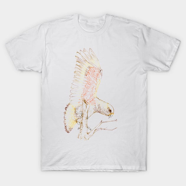 Mr Kea, New Zealand native bird T-Shirt by EmilieGeant